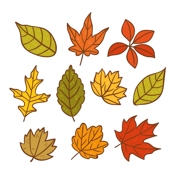 Gratis vector handgetekende herfstbladeren collectie
