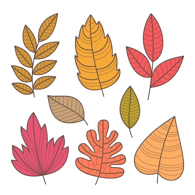 Handgetekende herfstbladeren collectie