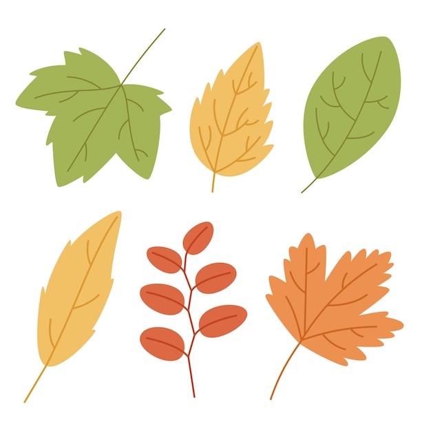 Gratis vector handgetekende herfstbladeren