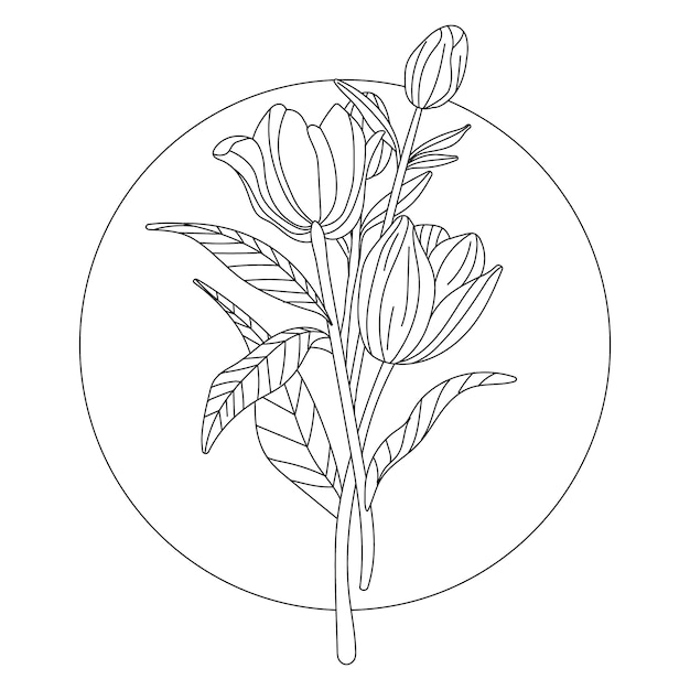 Handgetekende illustratie van de omtrek van de tulp
