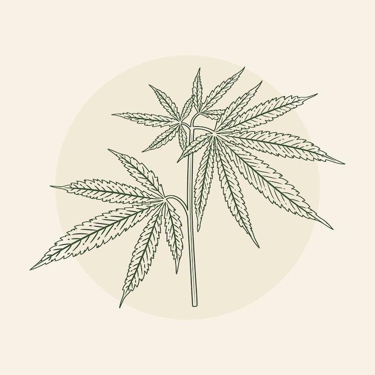 Gratis Vector handgetekende illustratie van de omtrek van een marihuanablad
