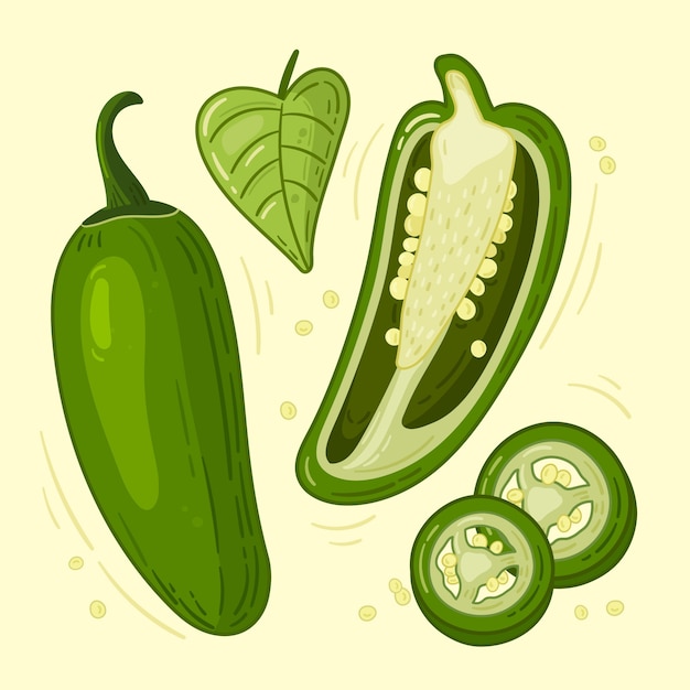 Gratis vector handgetekende jalapeno-illustratie