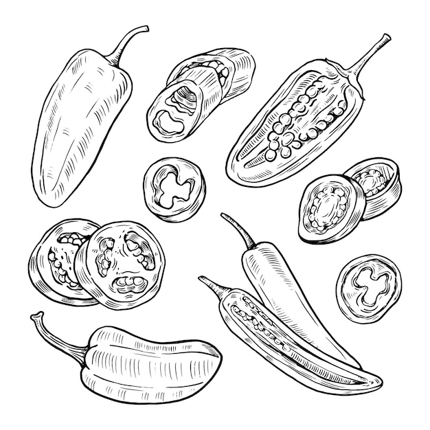 Handgetekende jalapeno-illustratie