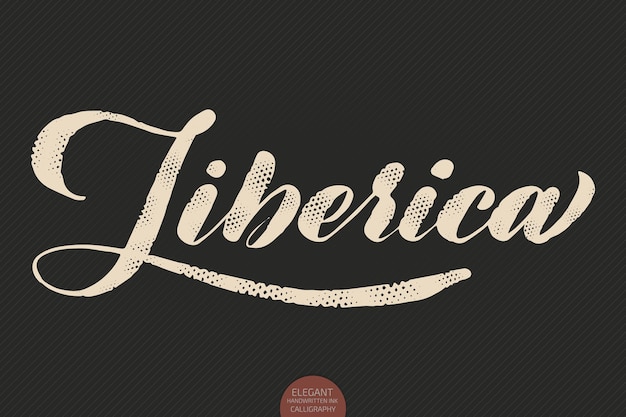 Gratis vector handgetekende kalligrafie liberica