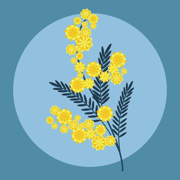 Handgetekende mimosa-illustratie met plat ontwerp