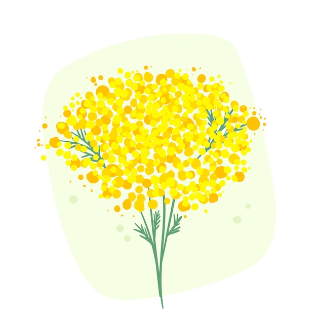 Gratis vector handgetekende mimosa-illustratie