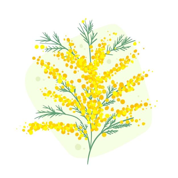 Handgetekende mimosa-illustratie