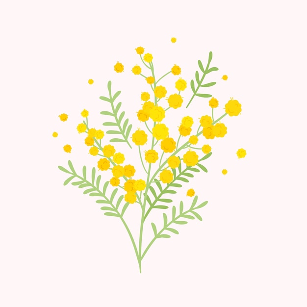 Handgetekende platte ontwerp mimosa
