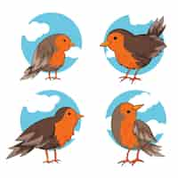 Gratis vector handgetekende robin-collectie