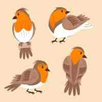 Gratis vector handgetekende robin-collectie