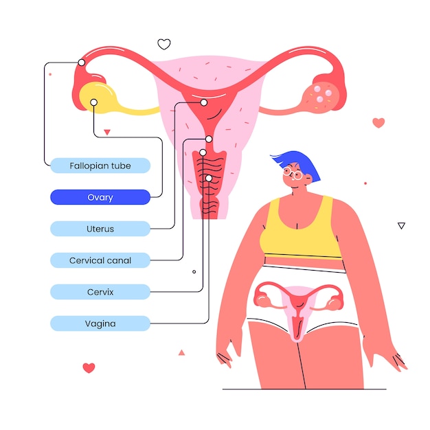 Handgetekende seksuele voorlichting infographic