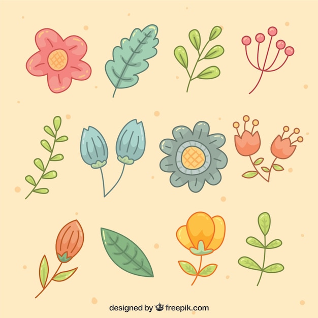 Gratis vector handgetekende selectie van decoratieve bloemen