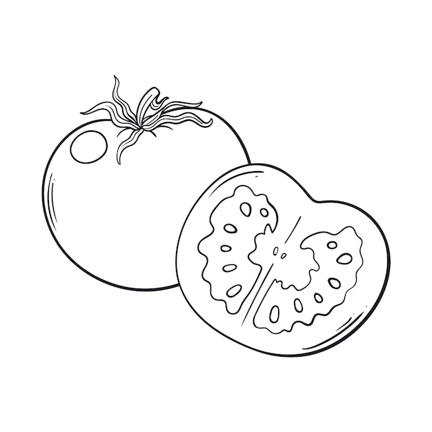 Gratis vector handgetekende tomaten schets illustratie