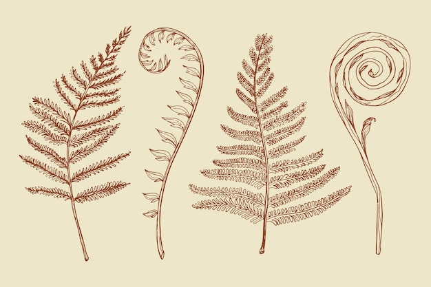 Handgetekende varen schets illustratie