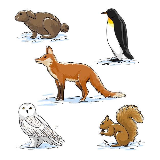 Gratis vector handgetekende winterdierencollectie