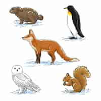 Gratis vector handgetekende winterdierencollectie