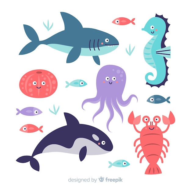 Gratis vector handgetekende zeedieren collectie