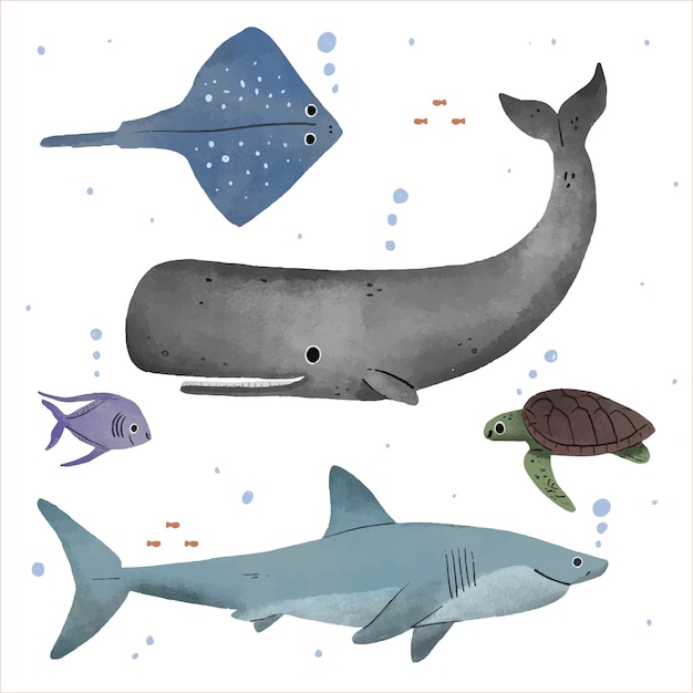 Handgetekende zeedieren collectie