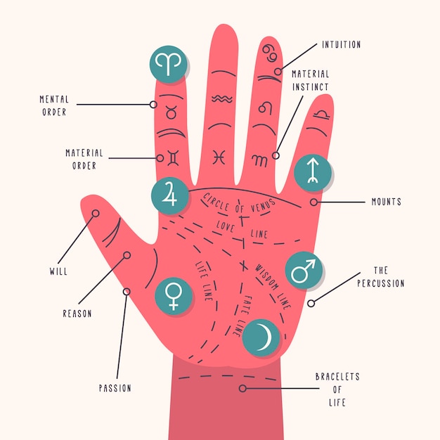 Handlijnkunde concept