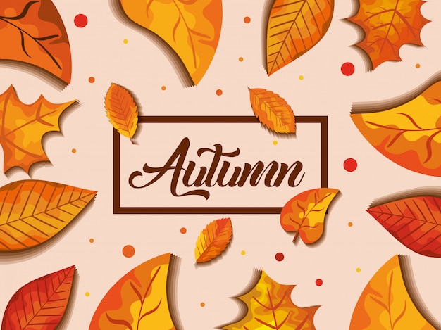 Herfst achtergrond met bladeren decoratie