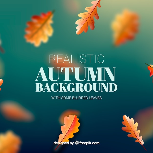 Gratis vector herfst achtergrond met bladeren