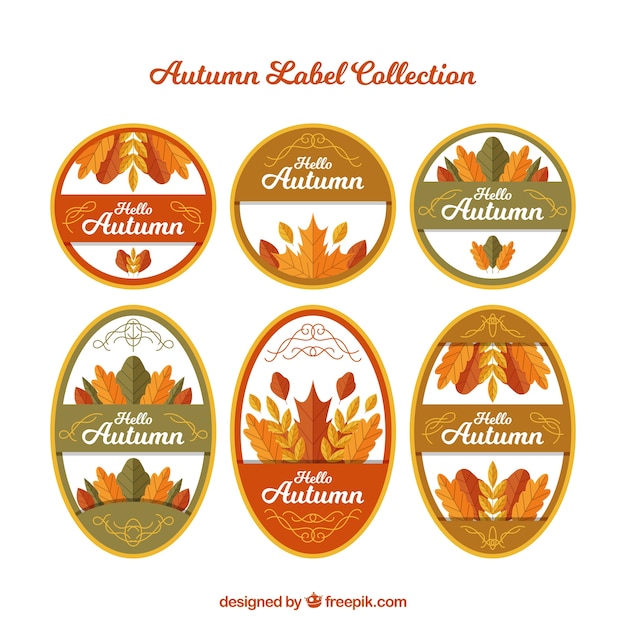 Herfst badge collectie met platte ontwerp