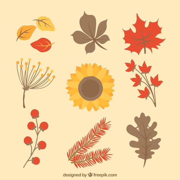 Gratis vector herfst elementen collectie