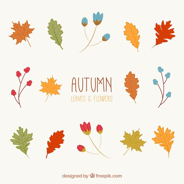 Herfst laat collectie met kleurrijke stijl