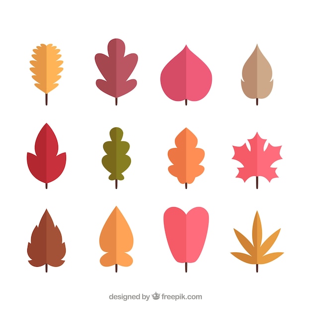 Gratis vector herfst laat collectie