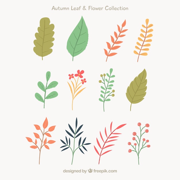 Gratis vector herfst laat collectie