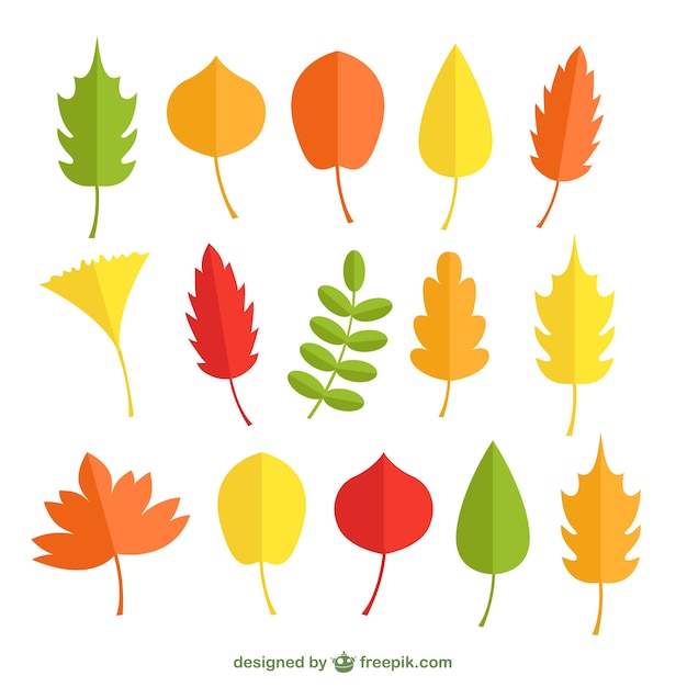 Gratis vector herfst oranje bladeren pak