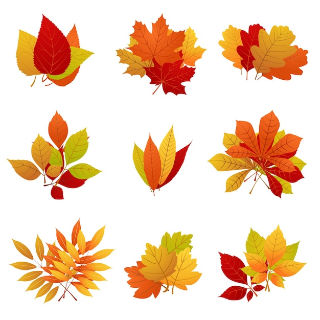 Gratis vector herfst oranje en gele set.