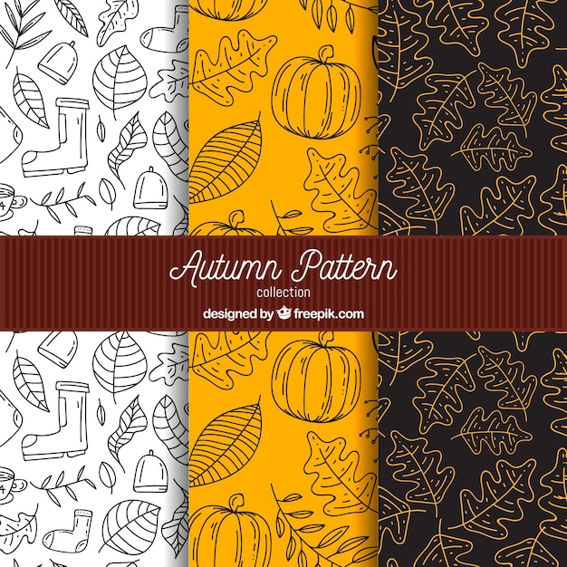 Herfst patronen collectie met elementen gratis vector