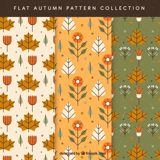 Herfst patronen collectie met kleurrijke bladeren