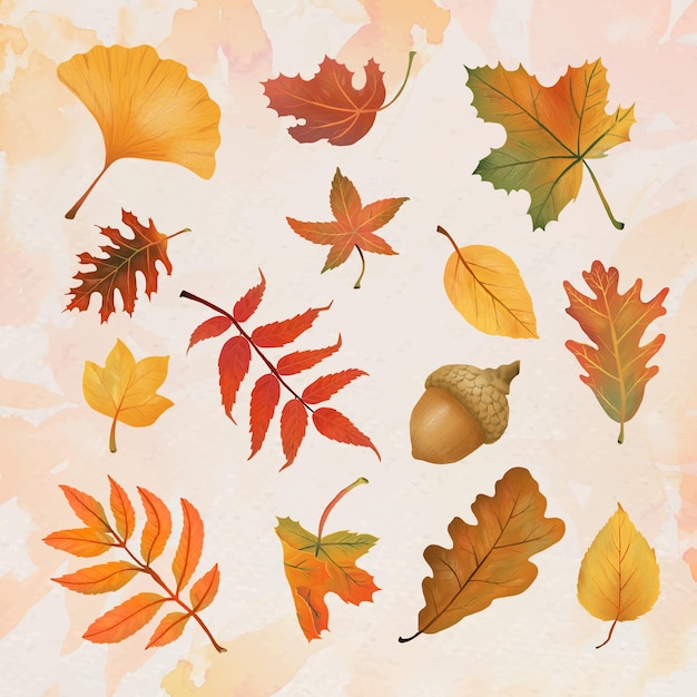 Gratis vector herfstblad element vector set in de hand getekende stijl