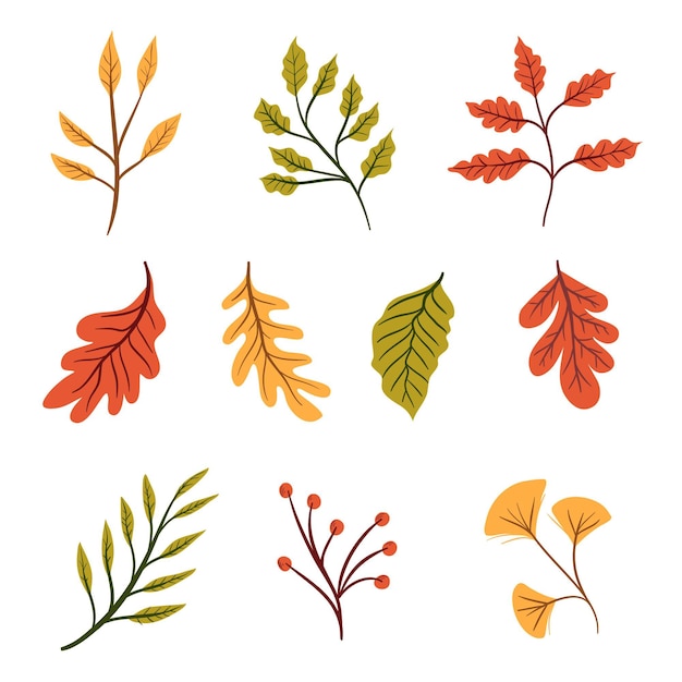 Gratis vector herfstbladeren collectie getrokken