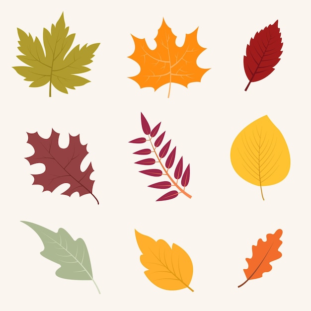 Gratis vector herfstbladeren collectie