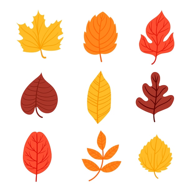 Gratis vector herfstbladeren collectie