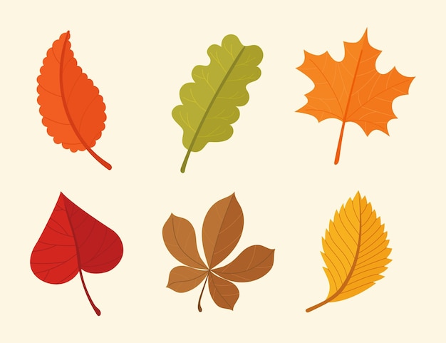 Gratis vector herfstbladeren collectie