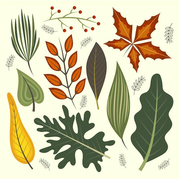 Gratis vector herfstbladeren collectie