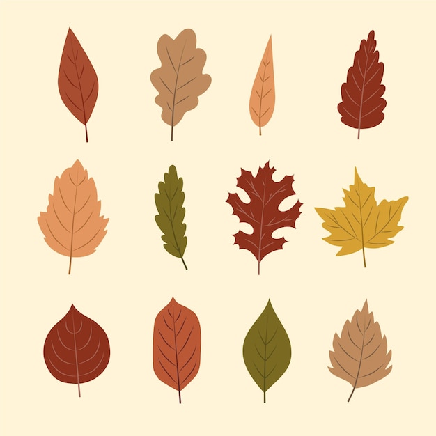 Gratis vector herfstbladeren collectie