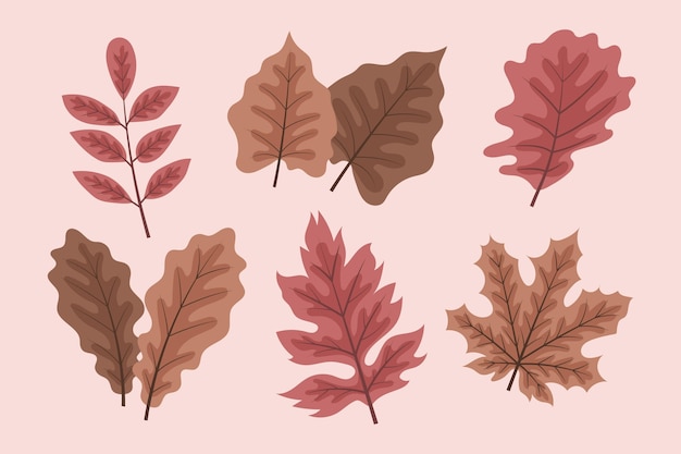 Gratis vector herfstbladeren collectie