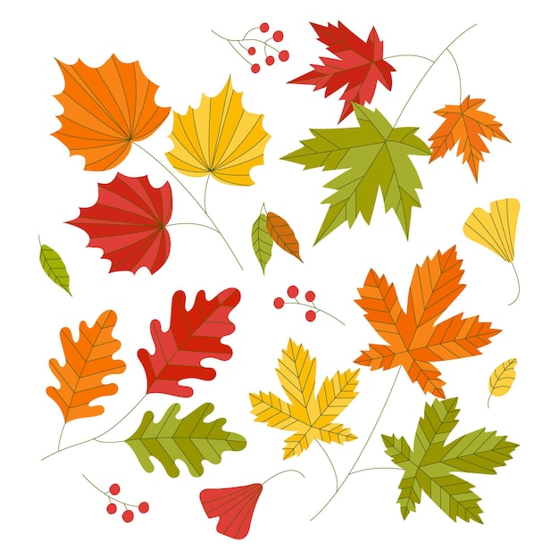 Gratis vector herfstbladeren collectie