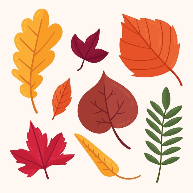 Gratis vector herfstbladeren collectie