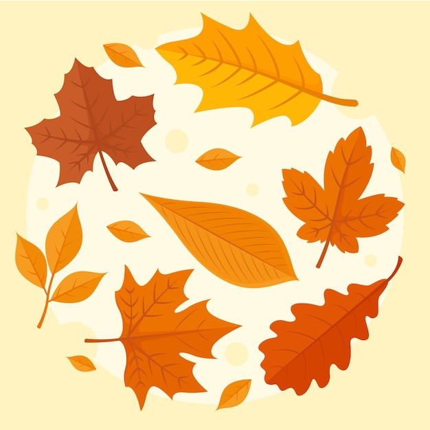 Gratis vector herfstbladeren collectie