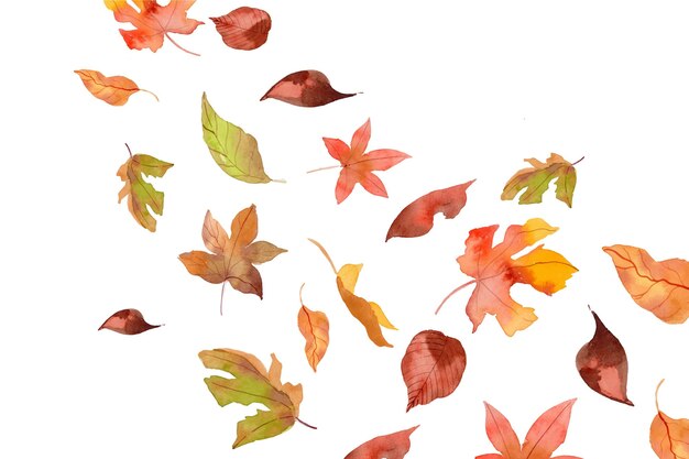 Herfstbladeren vallende aquarel