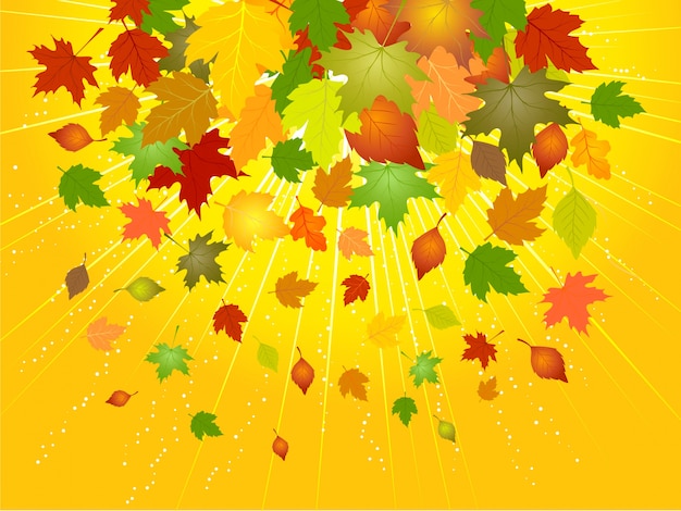 Gratis vector herfstbladeren