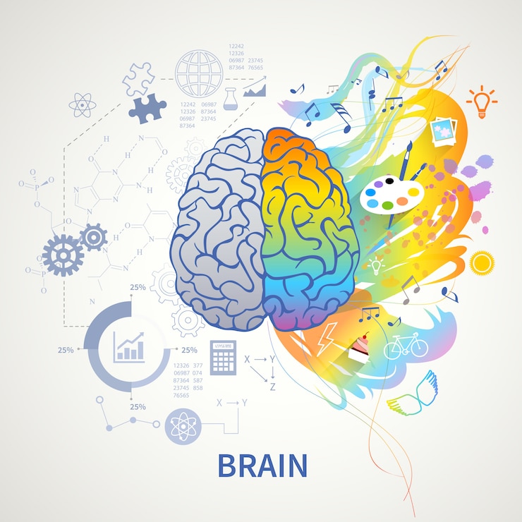 Gratis Vector hersenen functies concept infographic symbolische afbeelding met links logica wetenschap wiskunde recht kunst creativiteit