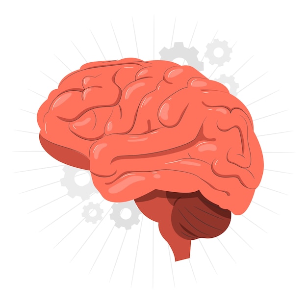 Gratis vector hersenen orgel concept illustratie
