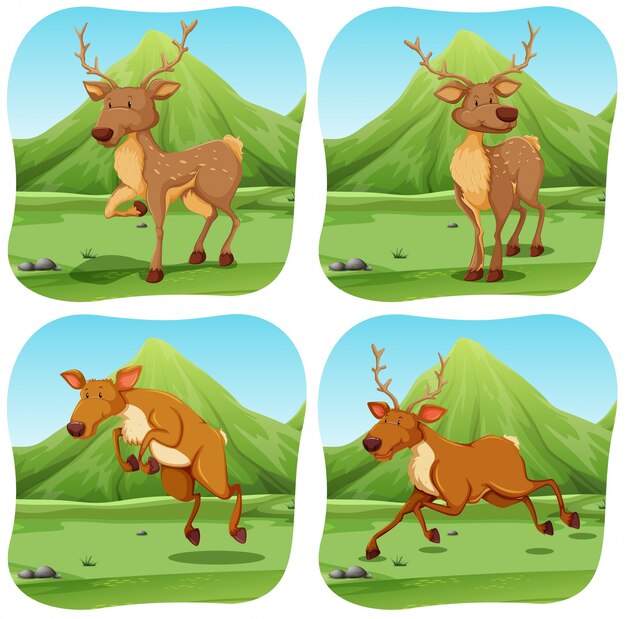 Herten in vier verschillende scènes illustratie